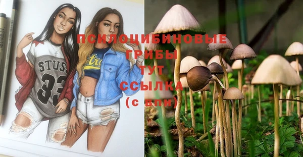 COCAINE Вуктыл
