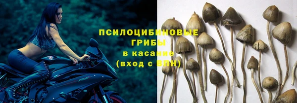 прущая мука Бугульма