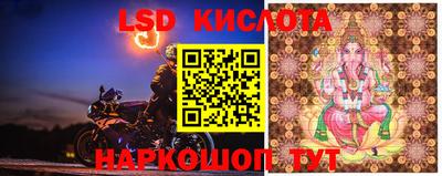 PSILOCYBIN Балашиха