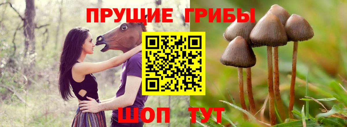 Псилоцибиновые грибы ЛСД Горячий Ключ